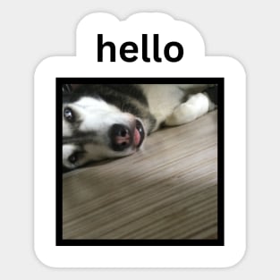 Funny Husky Dog Face Simple Hello Sticker